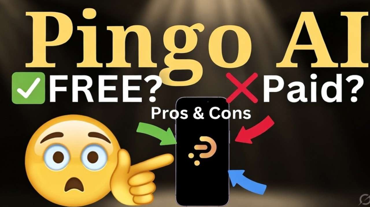 Pingo AI